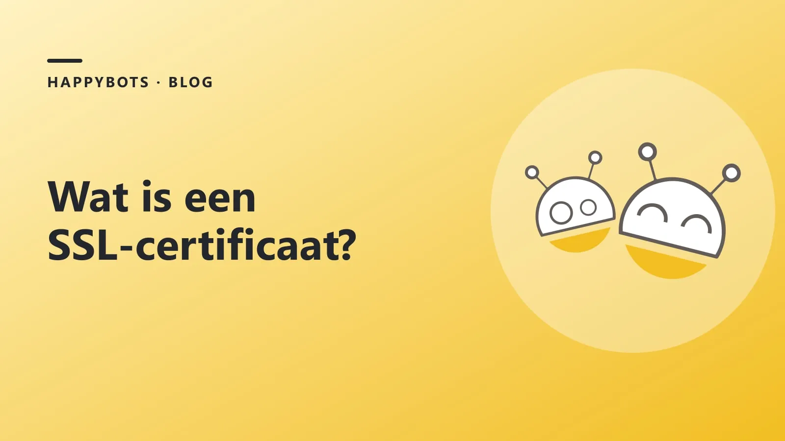 Wat is een SSL-certificaat?