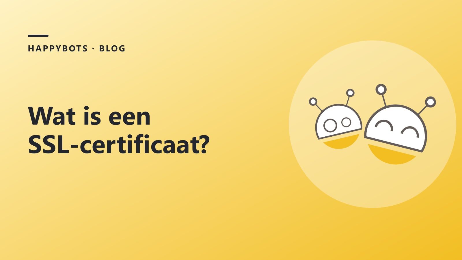Wat is een SSL-certificaat?